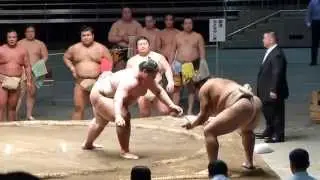 かわいがり方ぎこちな～い、逸ノ城が輝にぶつかり稽古！高田川親方公認！（2015年5月2日　二所ノ関一門連合稽古）