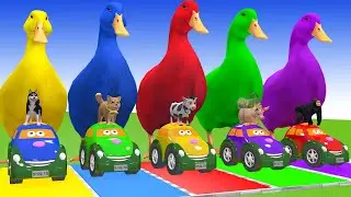 Long Slide Game With Cow Elephant Gorilla Hippopotamus Tiger 3d Animal Game Funny 3d Animals