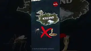 Why Iceland is the safest country in the world #Countries #Shorts #Maps #iceland