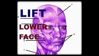 LIFTING Lower Part of Face by MASTICATION ISOMETRIC Technique- Combined with FACIAL FLEX device
