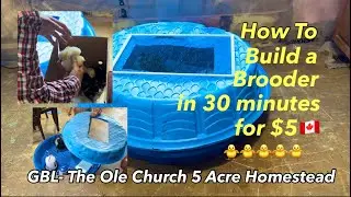 🐓❤️How to Build Chicken Brooder in 30 Minutes for $5 🇨🇦 #chickencoop #raisingchickens #homesteading