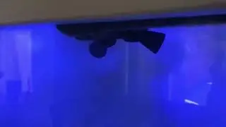 Vortex loc-line nozzle test