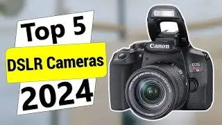 Top 5 Best DSLR Cameras of 2024