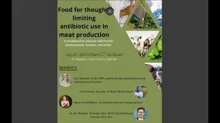 Food for thought: limiting antibiotic use in meat production