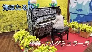 ブルグミュラー/優美　　海ほたるPAストピ　　　　8才　