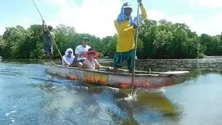 Mangroves of Prieto Diaz
