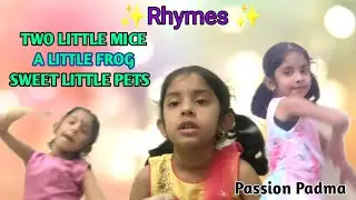 Rhymes | Two Little Mice | A Little Frog | Sweet Little Pets | Passion Padma