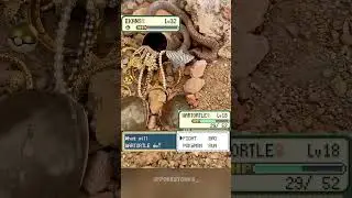 Wartortle 🐢 vs Ekans 🐍 irl 💀 #pokemon