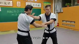Intangible Cultural heritage Kung Fu Wrestling Hand#Intangible cultural
