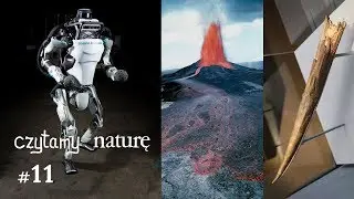 Czytamy naturę #11 |  Roboty samouczące - Erupcja Kilauea - Prehistoryczni oszczepnicy