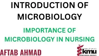 “Importance of Microbiology in Nursing Practice”