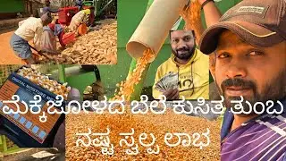 ಕೃಷಿ ಭೂಮಿ ಇದ್ದವರೇ ಮುಂದೆ ಕಿಂಗ್ ಮೇಕರ್ | Agriculture Business Idea | New Agriculture Business plan