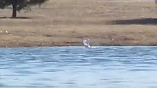RC Boat Sails Below the Horizon Part 2