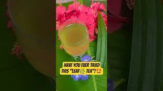 ரம்பை இலை டீ| Aromatic pandan leaves tea|Pandan leaf tea| briyani leaves|rambhai ila #pandanleaves