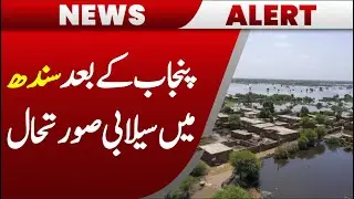 Flood Risk in Sindh After Punjab | Flood Situation in Pakistan