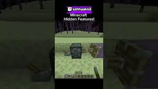 Hidden Features in Minecraft!🤫#minecraft #gaming #secret #fypシ゚viral #fyp #viral #fypage #easteregg