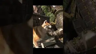 Loyal NPC Dog 🐺🦊🐶 #shorts #dog