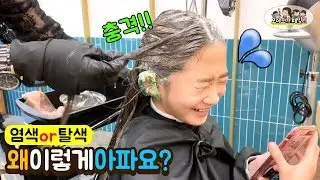 염색 아파요 중학교 가면 염색 못함 그런데 왜이렇게 아파요? 염색 색깔 추천 가장 밝은 갈색 | 모야모야패밀리 moyamoyafamily