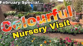 Colourful Nursery visit (February special), Rose Garden  Special