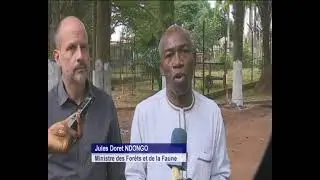 Zoo Mvog Betsi