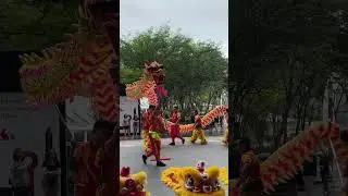 Auspicious Dragon Dance Performance, Chinese New Year Singapore, Plaza Singapura