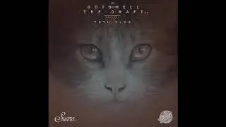 Gotshell - The Draft (Coyu Remix)
