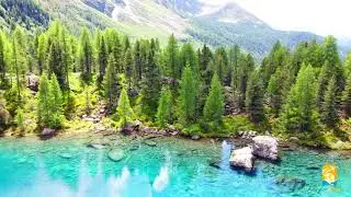 Lago saoseo giu 2021 svizzera  val da camp poschiavo
