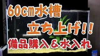 60cm水槽立ち上げ!!～備品購入&水入れ&レイアウト～