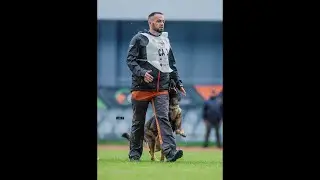 You don&rsquo;t need a system to train dogs?