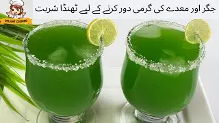 Refreshing Summer Drink | Refreshing  Drink For Body Heat | Mint Drink Recipe by Delight Cooking .