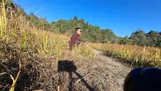 Dhap Dam || Hiking in Kathmandu 
