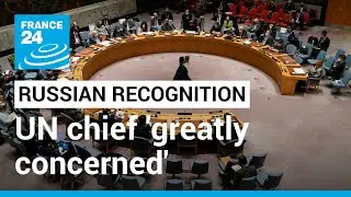 Ukraine - Russia crisis: UN chief 'greatly concerned' over Russia's decision &bull; FRANCE 24 English
