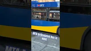 NYC Articulated Bus - The Longest MTA Ride in Manhattan! 🗽#mta #nybus #nyc #shorts