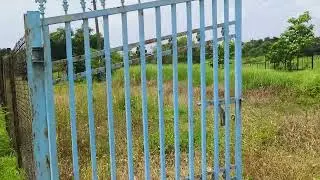 15 .5 guntha NA plot in murbad 65 lakh only more details contact no 9226224222