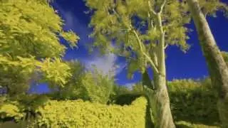 Infrared Mod with variations