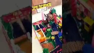 science model presentation on science day 2022 #nationalscienceday #scinceproject#madebyme
