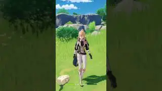 how to capture a duck genshin impact