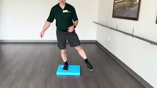Lateral Toe Tap from Unstable Surface