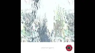 Shenanigans - Ox the Moron