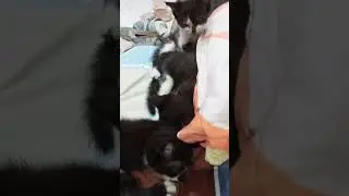 persiapan tidur