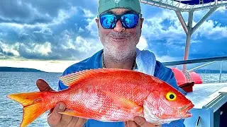 Deep Dropping Snapper Fishing 800 feet of water @Joeyflatsfishing in Jamaica 