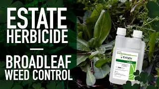 Introducing Estate Herbicide | Triple-Active Herbicide For Professional Broadleaf Weed Control
