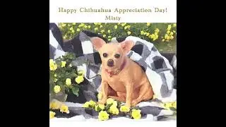 Chihuahua Appreciation Day - 2024. Chihuahua Parents group
