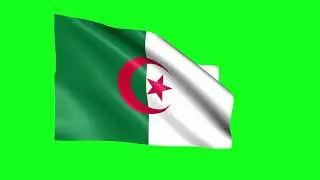 Algerian Flag Closeup | Free HD Green Screen Footage