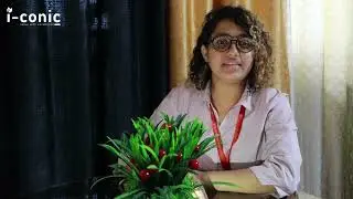 All you need to know about Iconic Solutions | By Twinkle Das | Revenue Cycle Management