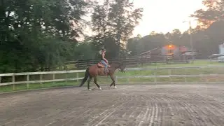 Evening Ride Vlog | EquestrianBliss