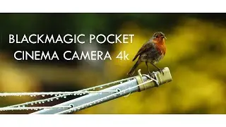 Around the house (BMPCC 4k)