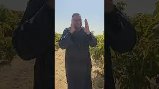صنف نفسك قبل ماتشترك في المشروع الزراعي  للحجز vip بلس أعماق وطاقه وقسط 3 سنين  01008791285  وتس