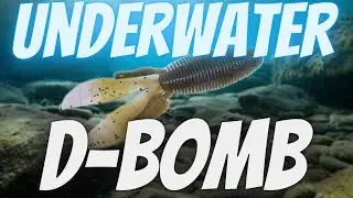 Missile Baits D Bomb Underwater Tank Test / STRIKE KING Swing Jig / Bass Fishing Tackle Technique