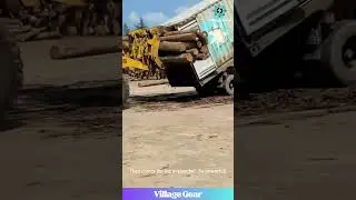 ULTIMATE Log Unloading! 🤯 Watch Them Dump an ENTIRE Container of Logs in Seconds! #log #truck